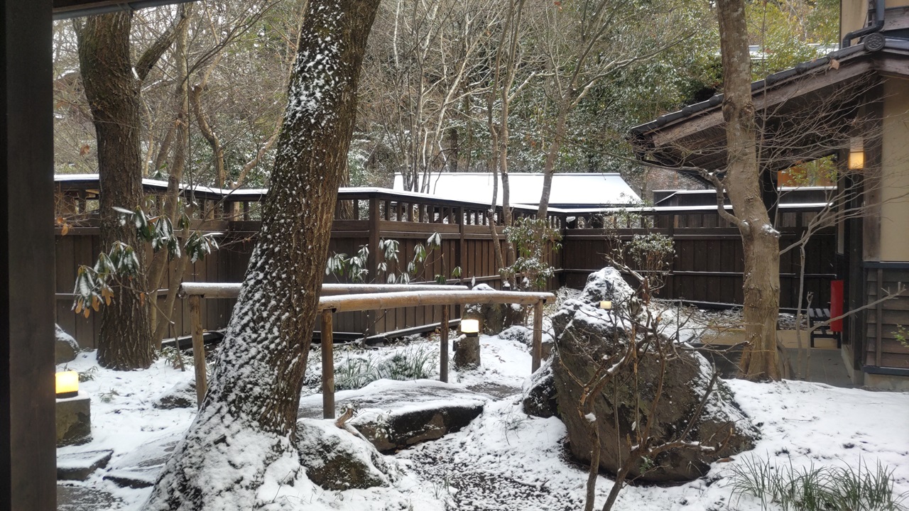 画像の説明 画像の説明